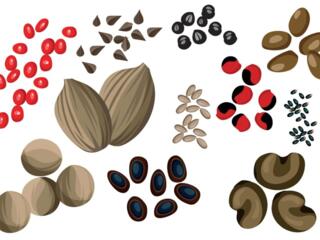 СЕМЕНА разные 150 наименований