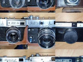 Продам оптом для интерьера декораций.