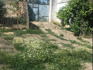 Дом на Слободке с участком 6 соток.