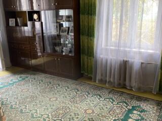 Шерстяные ковры Флоаре: 3х4 (1800 р), 2х3 (1100р) в отличном состоянии