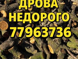 Дрова фруктовые Бесплатная доставка