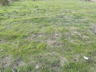 Предлагается к продажи участок  назначения; садоводство. Участок ...