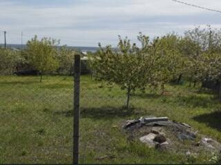 Продам участок в Кошарах. Участок общей площадью  6.5 соток ...