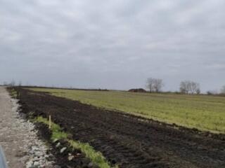 В продаже участок 5 соток. Участок расположенный в Сухом Лимане. ...