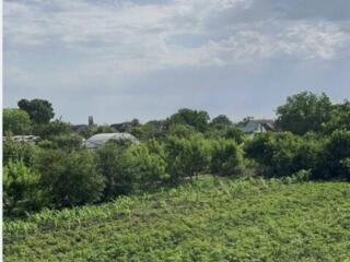 Продам ухоженный участок 15 соток земли, второй ряд от реки Турунчук .