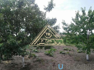 Продается участок земли на ул. Степовой (Кривая Балка)