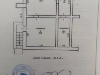 Подвальное помещение Карла Либкнехта 138