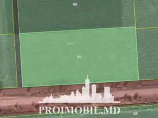 Spre vânzare se oferă teren agricol, situat în Criuleni, satul ...