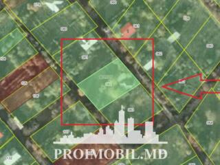 Spre vânzare se oferă lot pomicol cu construcție autorizată, situat ..