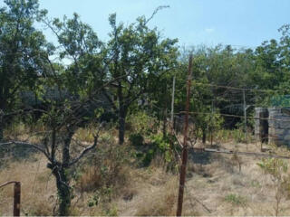 В продаже участок площадью 6 сотки. На участке домик использовался ...