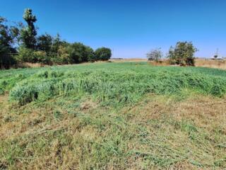 В продаже участок 11 соток в селе Молодёжное. Участок правильной ...