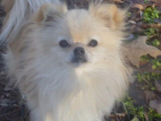 Молодой перспективный кабель