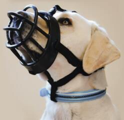 Намордник для собак BARKLESS 4 размер