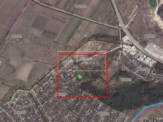 Se oferă spre vânzare teren pomicol, Întovărășirea Pomicolă „Drujba”, 