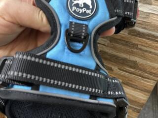 Шлейка для собак PoyPet размер M