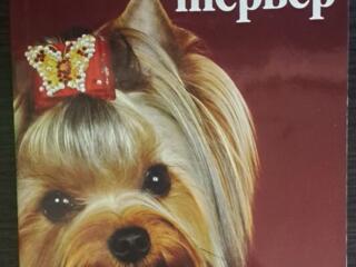 Йоркширский терьер