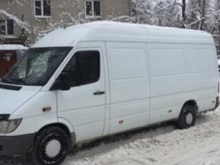 Taxi Bus bază lunga