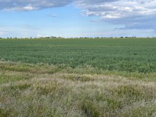 Предлагается к продаже общей участок площадью 7,3 соток в селе ...