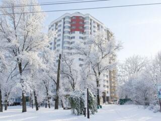 1-комнатная квартира, Ботаника.