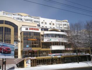 3-комнатная квартира, Ботаника.