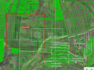 Spre vânzare teren agricol, în comuna Dobrogea, la doar 5 km de ...