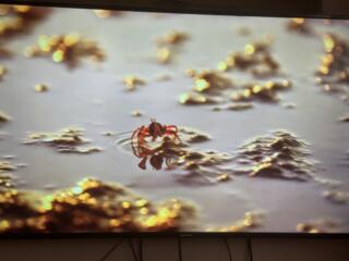 Очень срочно сакура 65 лед 4К smart