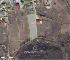 Str. Ștefan Neaga, Sângera, Chișinău