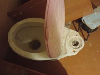 Унитаз без бачка