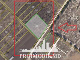 Spre vânzare se oferă teren pentru construcția halei Industriale + ...