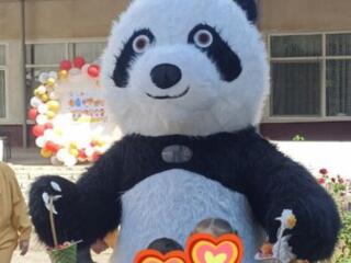 Продам два костюма панды и чебурашки