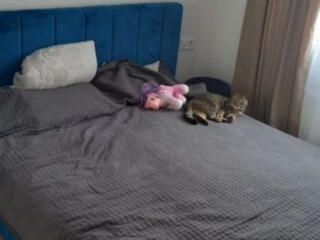 Евродвушка с ремонтом в 49 Жемчужине