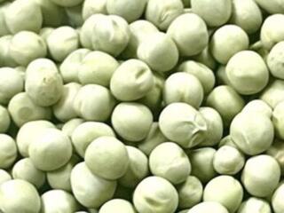 Горох зелёный (сухой) ОПТОМ от 100 тонн