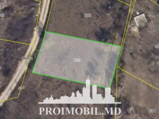 Spre vânzare se oferă teren agricol, situat în Trușeni, I.P. ...