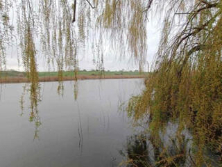 Дом у реки с камином и сауной, Великий Дальник.