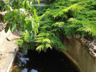 Дом в Овидиополе