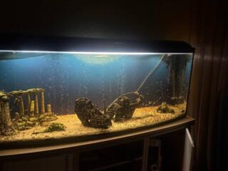 Фильтр, компрессор и декорации