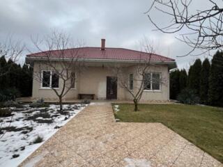 Терміново! Здам вперше одноповерховий будинок у Червоному Хуторі