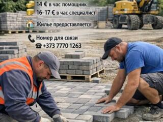 ГЕРМАНИЯ| БРУКОВКА| г. Кельн 
