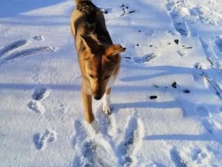 Охрана в частный дом