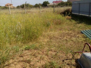 Продажа земли в с. Холодная Балка