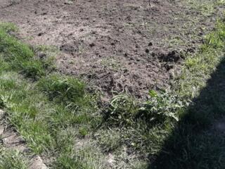 Продам участок 7 соток в Нерубайском