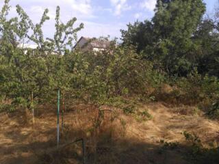 Продам 10 соток , Черноморка/Червоный хутор