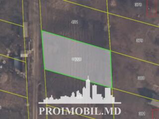 Spre vânzare se oferă teren pomicol, situat în r. Criuleni, sat. ...