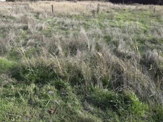 Продается земельный участок правильной формы, расположенный всего в ..