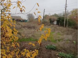 Продается участок 10 сот. в с. Великий Дальник Одесской области. ...