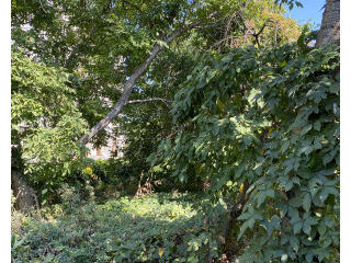 Участок на 7-й ст. Люстдорфской дороги