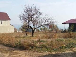 Участок 12,5 соток в с. Нерубайское
