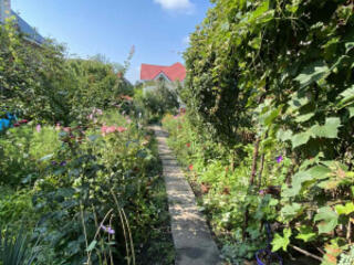 Участок на Толбухина