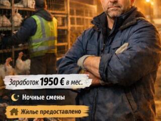 Стабильная работа без почасовки
 1950 € в месяц фиксированная ставка
