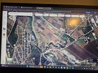 Lot de teren agricol Paşcani